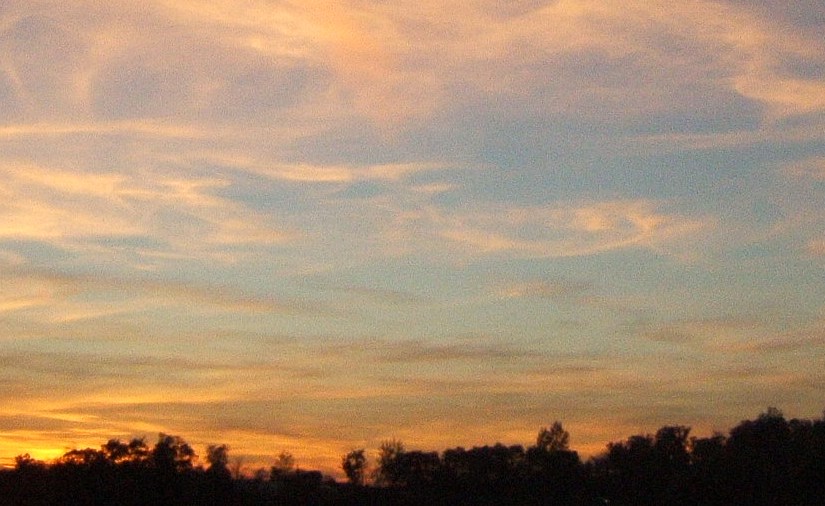 Covid Intelligence Lesson&nbsp;101