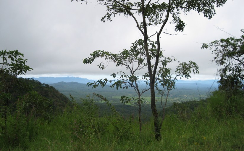 …..because these are evil&nbsp;times!*